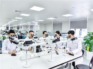 營商環境優化 高端資源匯聚 黃埔產業創新源賦能生物技術開發